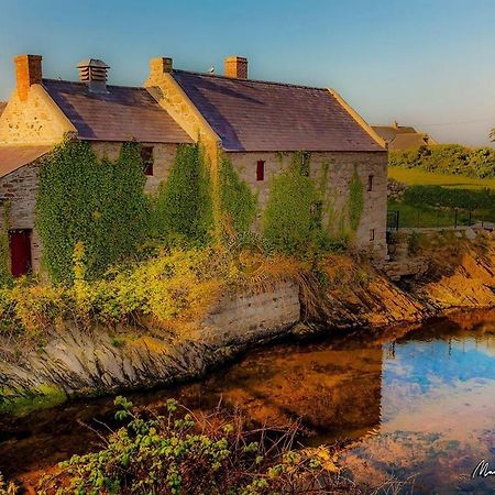 Lovely 2-Bed Cottage At The Foot Of The Mournes Newry Eksteriør billede