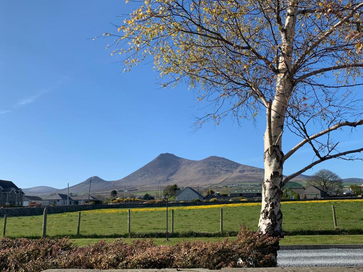 Lovely 2-Bed Cottage At The Foot Of The Mournes Newry Eksteriør billede