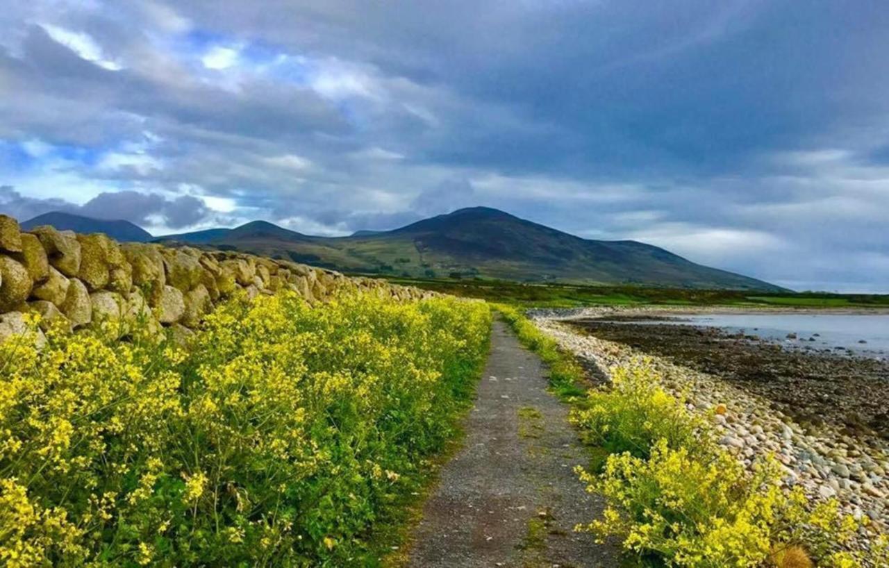 Lovely 2-Bed Cottage At The Foot Of The Mournes Newry Eksteriør billede
